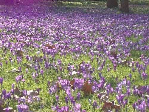 Damson Cottage B&B 라콕 외부 사진